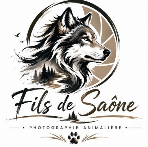 Fils de saône E-Shop